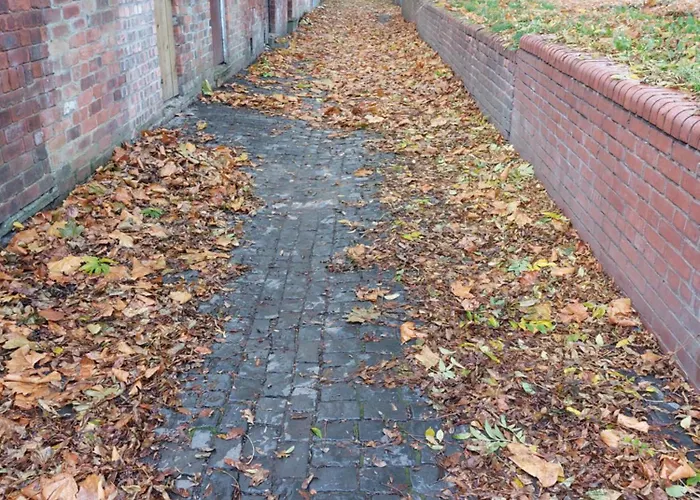 A Little Bit Of Magic - Witchcraft Pensjonat York