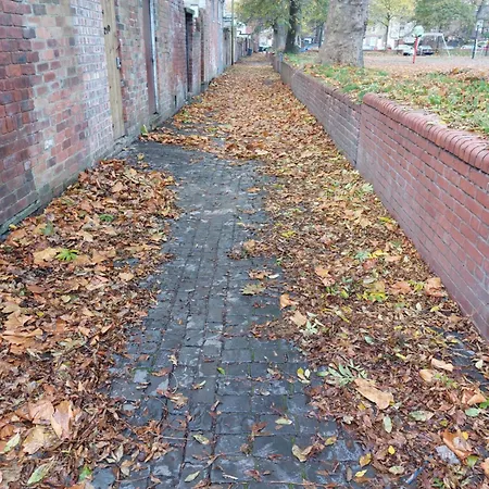 A Little Bit Of Magic - Witchcraft Πανσιόν Γιορκ